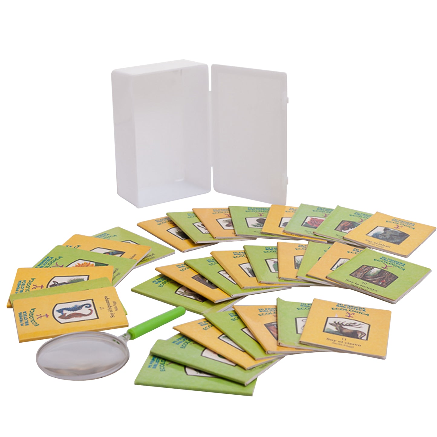 Set de Lectura