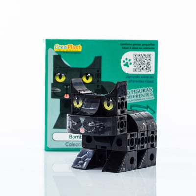 Coleccion gatos Pet Cubic: Bombay