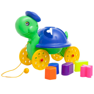 Tortuga Didáctica x5 en Caja