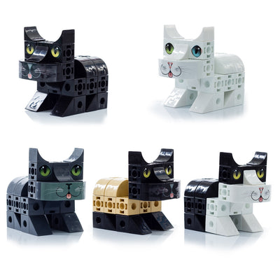 Coleccion gatos Pet Cubic X 5