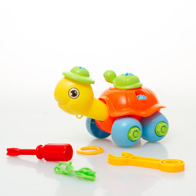 Tortuga Didáctica Desarmable