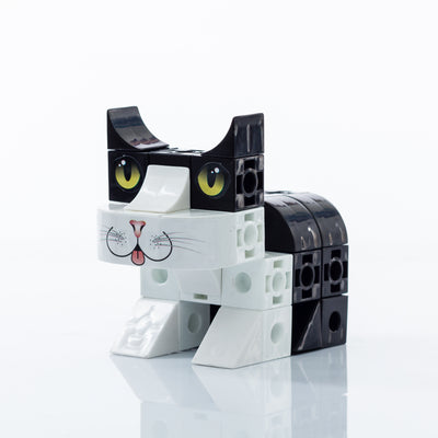 Coleccion Gatos Pet Cubic: Común Bicolor